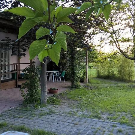 Rose Canine B&B Cesenatico Eksteriør bilde