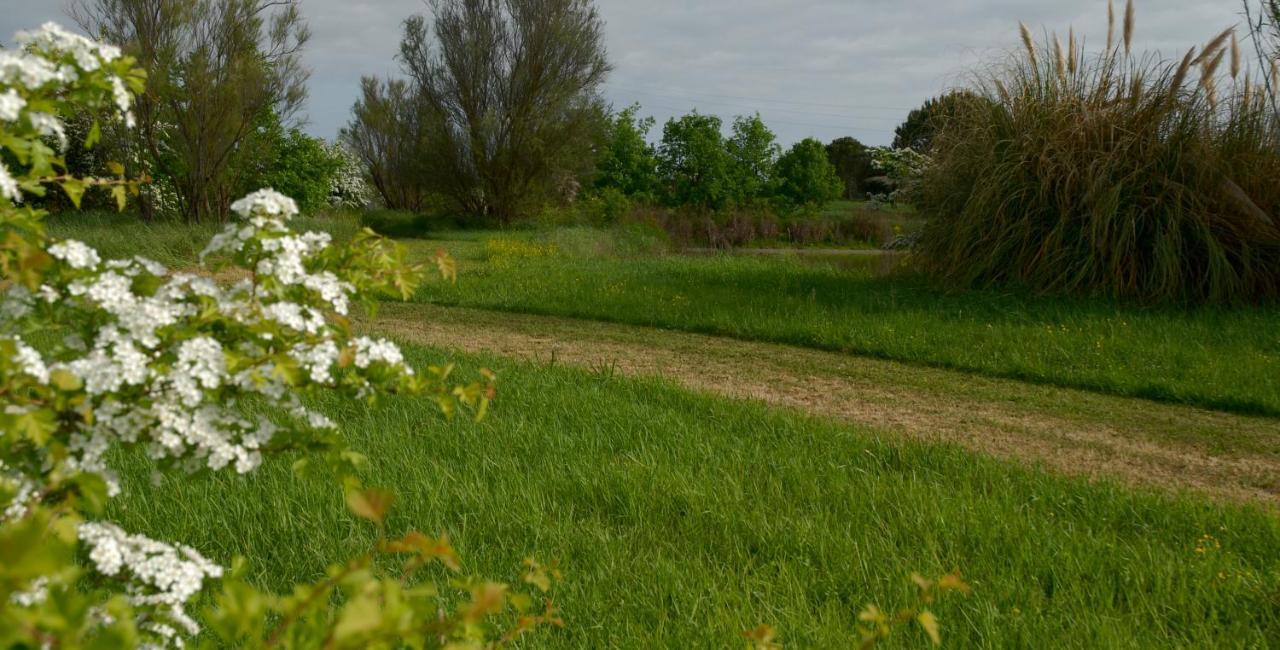 Rose Canine B&B Cesenatico Eksteriør bilde