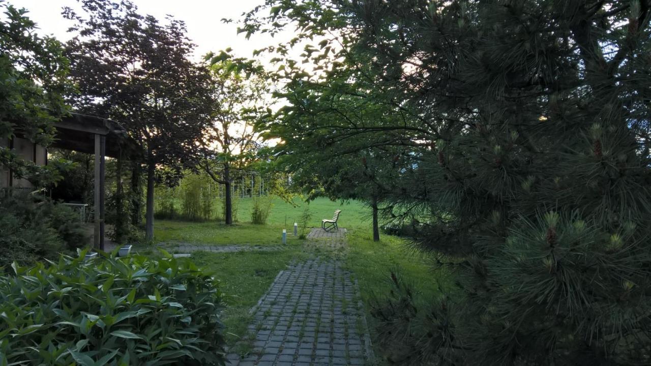 Rose Canine B&B Cesenatico Eksteriør bilde